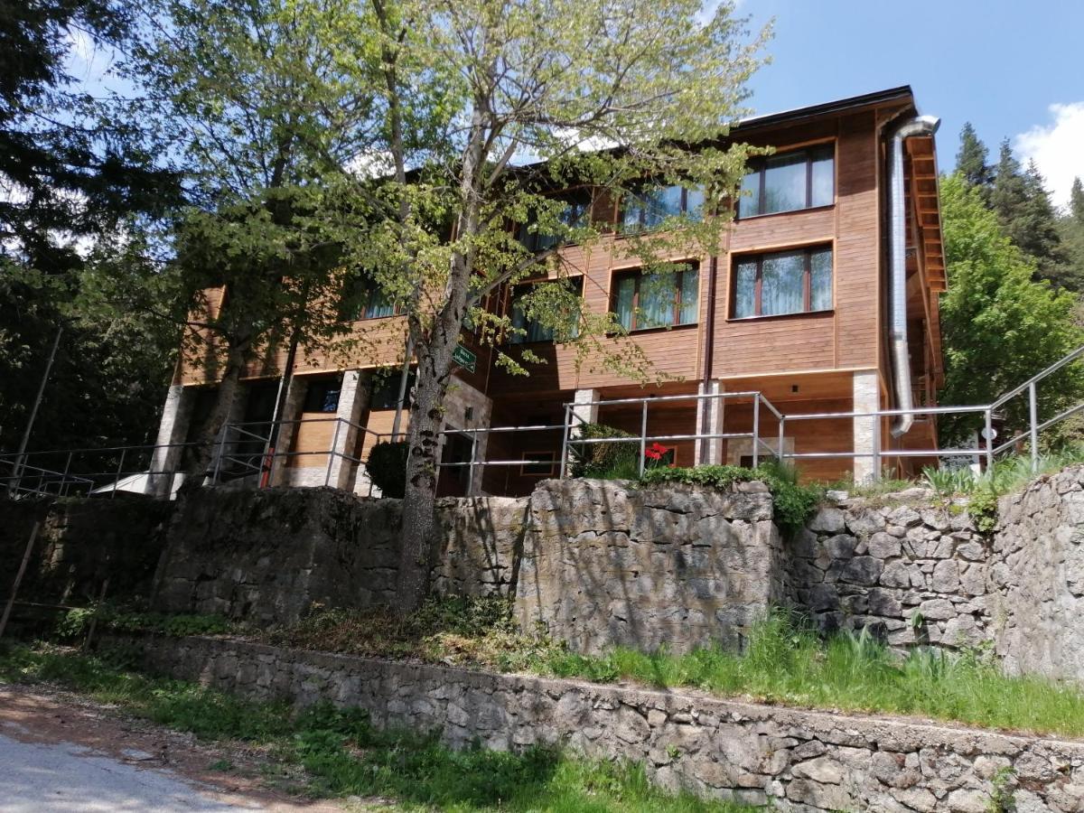 Вила Добро Поле Blagoevgrad Exterior foto